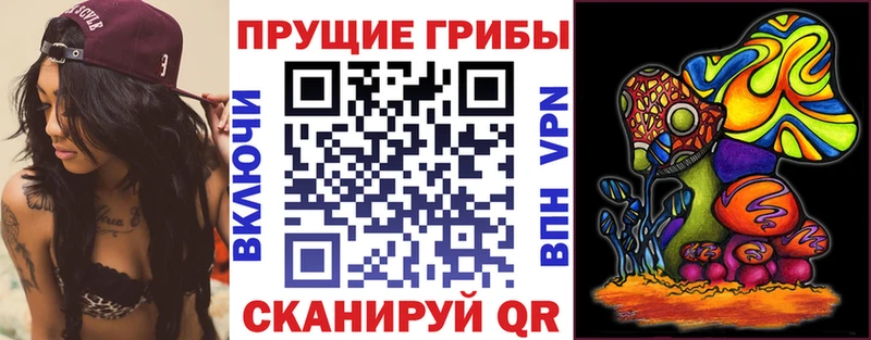 маркетплейс формула  Остров  Псилоцибиновые грибы Psilocybine cubensis  мега tor 
